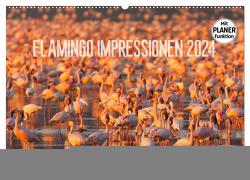 Flamingo Impressionen 2024 (Wandkalender 2024 DIN A2 quer), CALVENDO Monatskalender von Gerlach,  Ingo