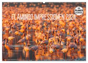 Flamingo Impressionen 2024 (Wandkalender 2024 DIN A2 quer), CALVENDO Monatskalender von Gerlach,  Ingo