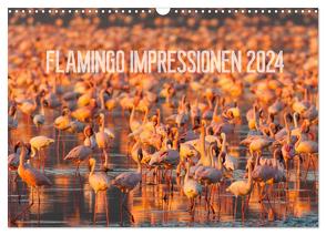 Flamingo Impressionen 2024 (Wandkalender 2024 DIN A3 quer), CALVENDO Monatskalender von Gerlach,  Ingo