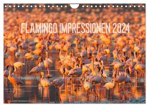 Flamingo Impressionen 2024 (Wandkalender 2024 DIN A4 quer), CALVENDO Monatskalender von Gerlach,  Ingo