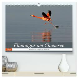 Flamingos am Chiemsee (hochwertiger Premium Wandkalender 2024 DIN A2 quer), Kunstdruck in Hochglanz von R Bogner,  J