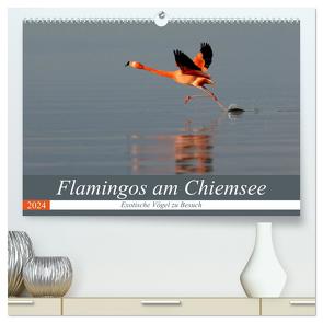 Flamingos am Chiemsee (hochwertiger Premium Wandkalender 2024 DIN A2 quer), Kunstdruck in Hochglanz von R Bogner,  J