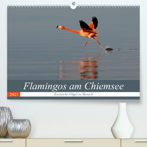 Flamingos am Chiemsee (Premium, hochwertiger DIN A2 Wandkalender 2021, Kunstdruck in Hochglanz) von R Bogner,  J