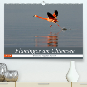 Flamingos am Chiemsee (Premium, hochwertiger DIN A2 Wandkalender 2022, Kunstdruck in Hochglanz) von R Bogner,  J