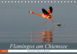 Flamingos am Chiemsee (Tischkalender 2021 DIN A5 quer) von R Bogner,  J