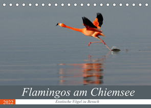 Flamingos am Chiemsee (Tischkalender 2022 DIN A5 quer) von R Bogner,  J