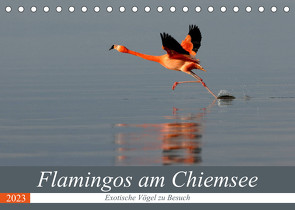 Flamingos am Chiemsee (Tischkalender 2023 DIN A5 quer) von R Bogner,  J