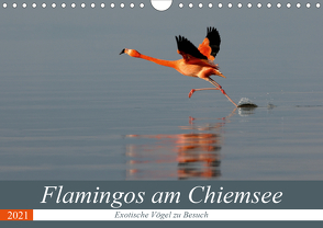 Flamingos am Chiemsee (Wandkalender 2021 DIN A4 quer) von R Bogner,  J