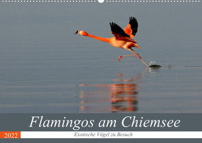 Flamingos am Chiemsee (Wandkalender 2022 DIN A2 quer) von R Bogner,  J