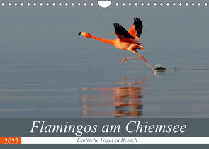 Flamingos am Chiemsee (Wandkalender 2022 DIN A4 quer) von R Bogner,  J