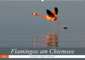 Flamingos am Chiemsee (Wandkalender 2023 DIN A2 quer) von R Bogner,  J