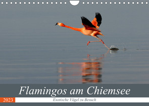 Flamingos am Chiemsee (Wandkalender 2023 DIN A4 quer) von R Bogner,  J