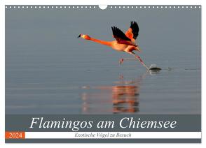 Flamingos am Chiemsee (Wandkalender 2024 DIN A3 quer), CALVENDO Monatskalender von R Bogner,  J