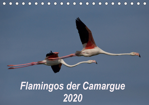 Flamingos der Camargue 2020 (Tischkalender 2020 DIN A5 quer) von Photo-Pirsch