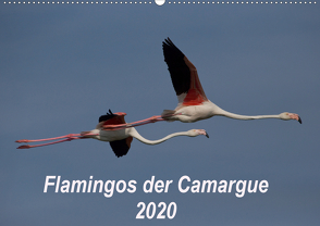 Flamingos der Camargue 2020 (Wandkalender 2020 DIN A2 quer) von Photo-Pirsch