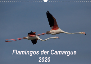 Flamingos der Camargue 2020 (Wandkalender 2020 DIN A3 quer) von Photo-Pirsch