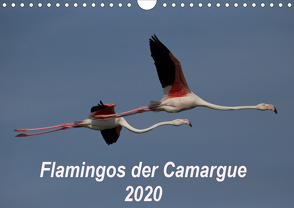 Flamingos der Camargue 2020 (Wandkalender 2020 DIN A4 quer) von Photo-Pirsch