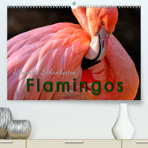 Flamingos – elegante Schönheiten (Premium, hochwertiger DIN A2 Wandkalender 2023, Kunstdruck in Hochglanz) von Roder,  Peter