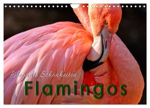 Flamingos – elegante Schönheiten (Wandkalender 2024 DIN A4 quer), CALVENDO Monatskalender von Roder,  Peter