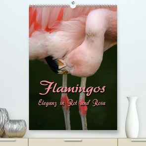 Flamingos – Eleganz in Rot und Rosa (Premium, hochwertiger DIN A2 Wandkalender 2021, Kunstdruck in Hochglanz) von Berg,  Martina