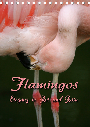 Flamingos – Eleganz in Rot und Rosa (Tischkalender 2021 DIN A5 hoch) von Berg,  Martina