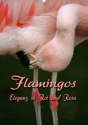 Flamingos – Eleganz in Rot und Rosa (Wandkalender 2021 DIN A2 hoch) von Berg,  Martina