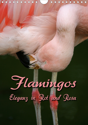 Flamingos – Eleganz in Rot und Rosa (Wandkalender 2021 DIN A4 hoch) von Berg,  Martina