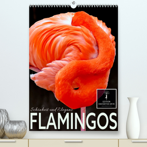 Flamingos – Eleganz und Schönheit (Premium, hochwertiger DIN A2 Wandkalender 2023, Kunstdruck in Hochglanz) von Roder,  Peter