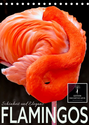 Flamingos – Eleganz und Schönheit (Tischkalender 2023 DIN A5 hoch) von Roder,  Peter