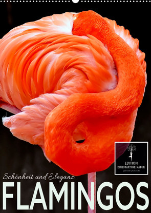 Flamingos – Eleganz und Schönheit (Wandkalender 2023 DIN A2 hoch) von Roder,  Peter