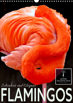 Flamingos – Eleganz und Schönheit (Wandkalender 2023 DIN A3 hoch) von Roder,  Peter