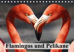 Flamingos und Pelikane (Tischkalender 2018 DIN A5 quer) von Stanzer,  Elisabeth