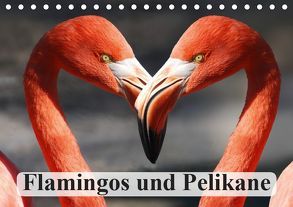 Flamingos und Pelikane (Tischkalender 2019 DIN A5 quer) von Stanzer,  Elisabeth