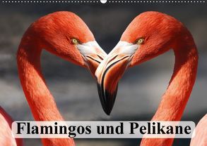 Flamingos und Pelikane (Wandkalender 2018 DIN A2 quer) von Stanzer,  Elisabeth