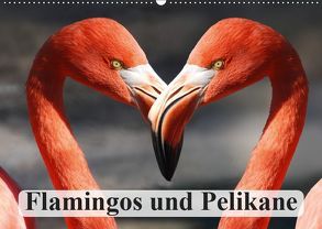 Flamingos und Pelikane (Wandkalender 2019 DIN A2 quer) von Stanzer,  Elisabeth