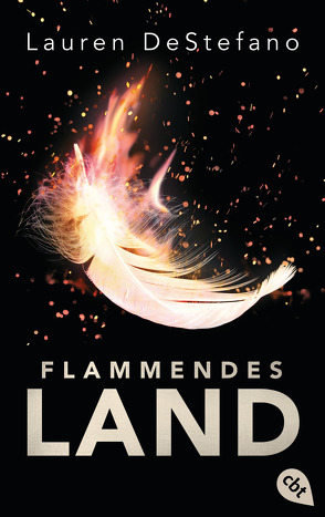 Flammendes Land von Decker,  Andreas, DeStefano,  Lauren