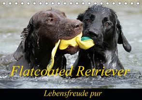 Flatcoated Retriever (Tischkalender 2021 DIN A5 quer) von / Beatrice Müller,  BeaM