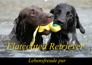 Flatcoated Retriever (Wandkalender 2023 DIN A2 quer) von / Beatrice Müller,  BeaM