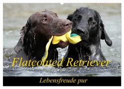 Flatcoated Retriever (Wandkalender 2024 DIN A2 quer), CALVENDO Monatskalender von / Beatrice Müller,  BeaM