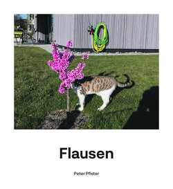 Flausen von Pfister,  Peter