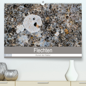 Flechten – Kunst der Natur (Premium, hochwertiger DIN A2 Wandkalender 2020, Kunstdruck in Hochglanz) von Dietz,  Rolf