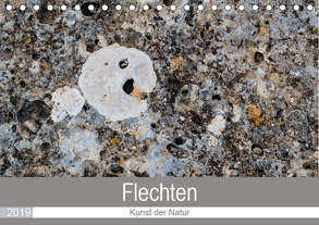 Flechten – Kunst der Natur (Tischkalender 2019 DIN A5 quer) von Dietz,  Rolf