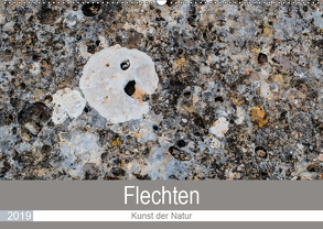 Flechten – Kunst der Natur (Wandkalender 2019 DIN A2 quer) von Dietz,  Rolf