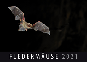 Fledermäuse 2021 von Quelle & Meyer Verlag