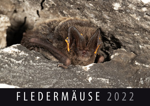 Fledermäuse 2022 von Quelle & Meyer Verlag