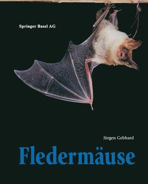 Fledermäuse von Gebhard,  Jürgen