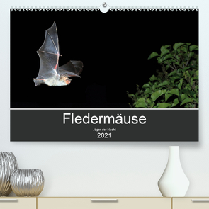 Fledermäuse – Jäger der Nacht (Premium, hochwertiger DIN A2 Wandkalender 2021, Kunstdruck in Hochglanz) von Schäfer,  Otto