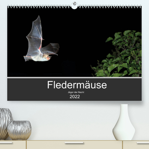 Fledermäuse – Jäger der Nacht (Premium, hochwertiger DIN A2 Wandkalender 2022, Kunstdruck in Hochglanz) von Schäfer,  Otto