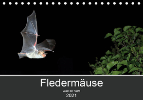 Fledermäuse – Jäger der Nacht (Tischkalender 2021 DIN A5 quer) von Schäfer,  Otto