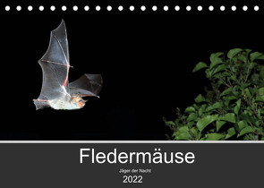 Fledermäuse – Jäger der Nacht (Tischkalender 2022 DIN A5 quer) von Schäfer,  Otto